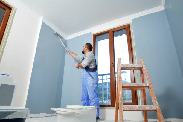 Stockton, MO Mold Removal Company