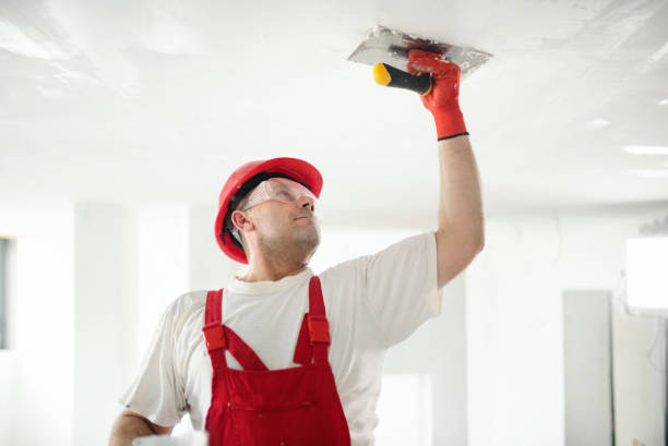 Best Mold Damage Restoration  in Stockton, MO