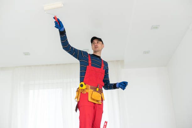 Best Forensic Mold Investigation  in Stockton, MO