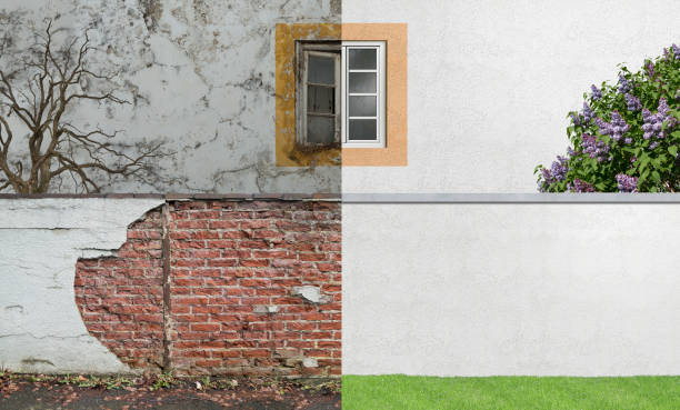 Best Industrial Mold Remediation  in Stockton, MO