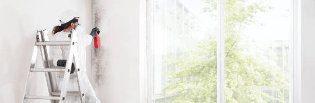Best Commercial Mold Inspection  in Stockton, MO